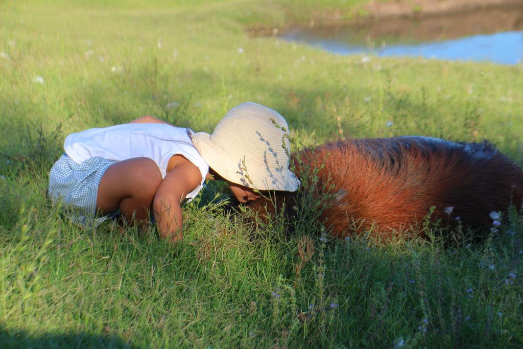 Estancia Turistica Finca Piedra Mal Abrigo ภายนอก รูปภาพ