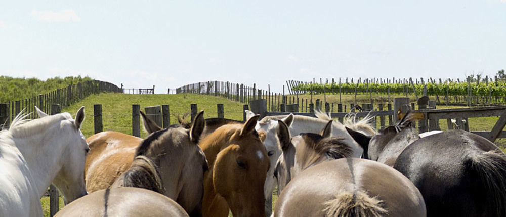 Estancia Turistica Finca Piedra Mal Abrigo ภายนอก รูปภาพ