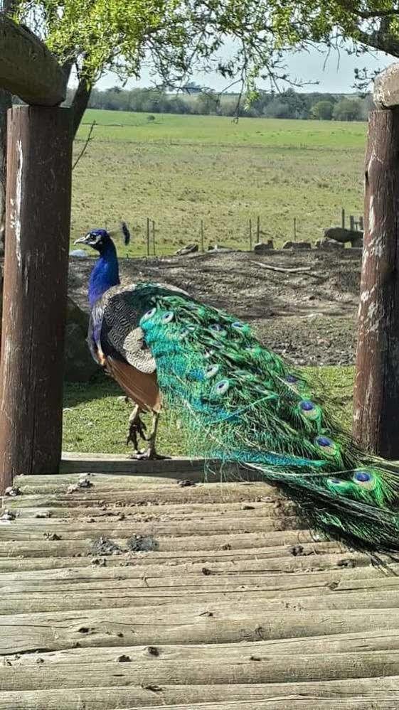 Estancia Turistica Finca Piedra Mal Abrigo ภายนอก รูปภาพ