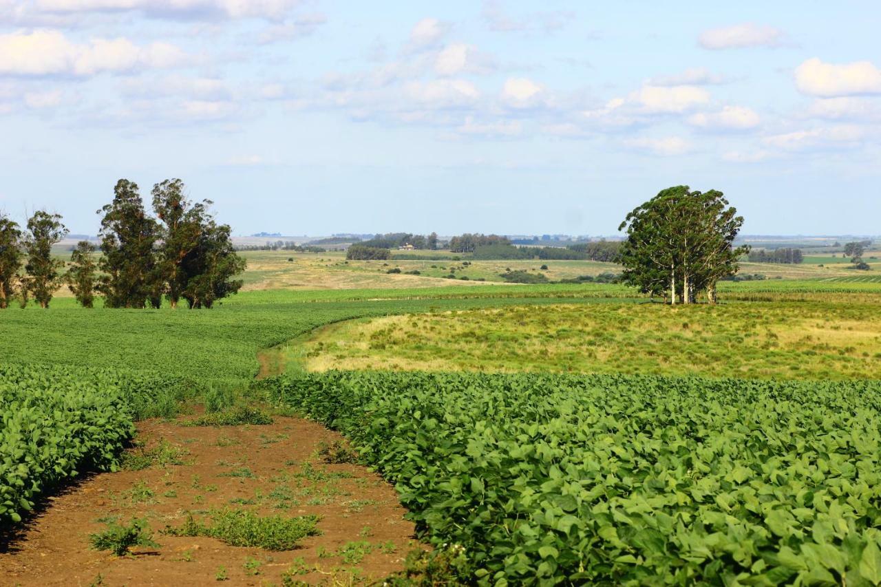 Estancia Turistica Finca Piedra Mal Abrigo ภายนอก รูปภาพ